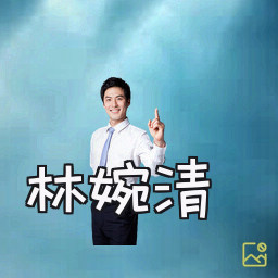 林婉清